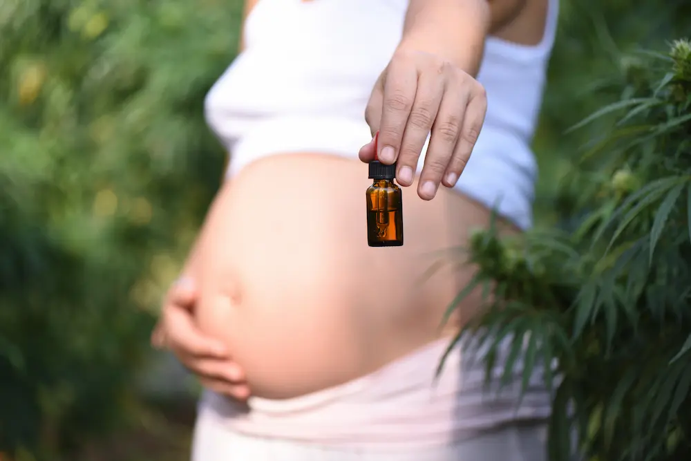 olio cbd in gravidanza
