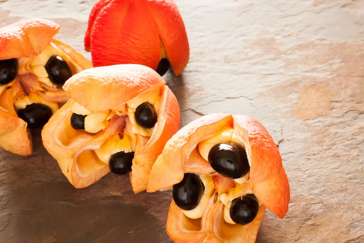 alimenti più tossici Ackee