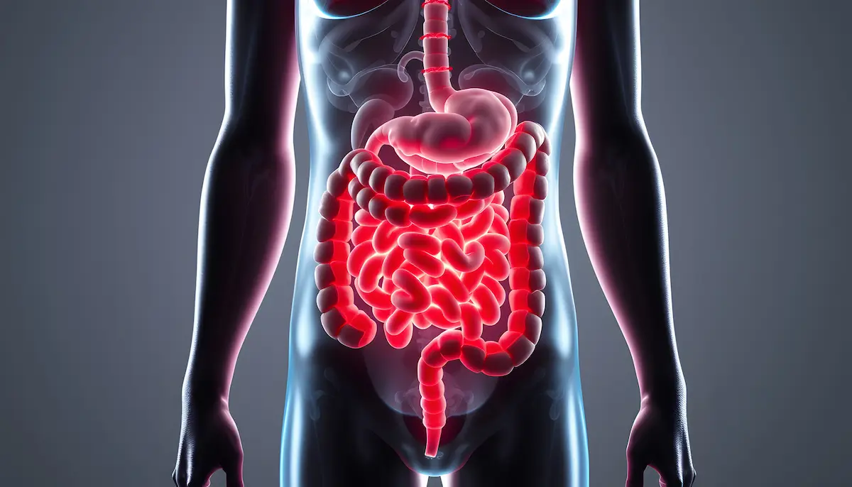 Cosa fare per avere un intestino regolare? regolarità intestinale