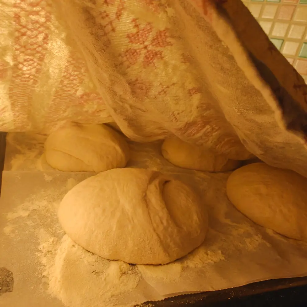 pizza fatta in casa impasto
