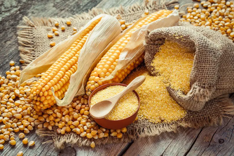 polenta-avanzata-ricette ricette per utilizzare la polenta avanzata