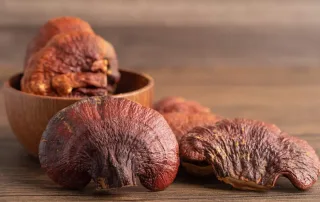 caffè con ganoderma snep