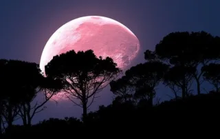 quando la luna delle fragole